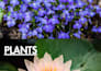 deliver a viral botanical colouring book